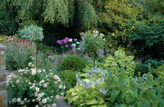 Gartenansichten Juli 2007 2