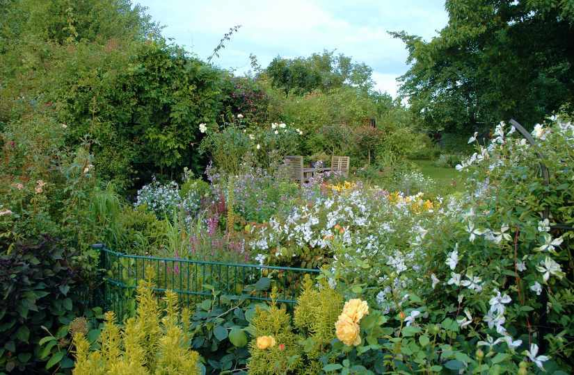 Gartenansichten Juli 2007 3
