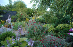 Gartenansichten Juli 2007 4