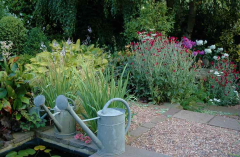 Gartenansichten Juli 2007 5