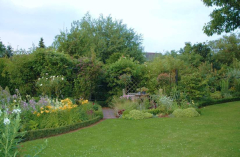 Gartenansichten Juli 2007 6