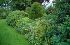 Gartenansichten Juli 2007 7