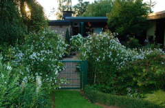 Gartenansichten Juli 2007 8