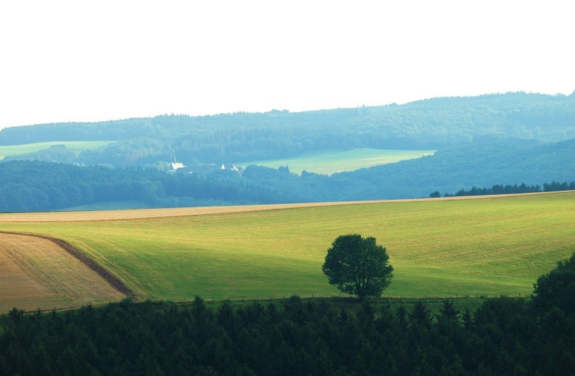 Juli 2007 - 7
