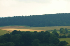 Juli 2007 - 6