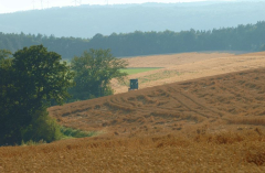 Juli 2007 - 8