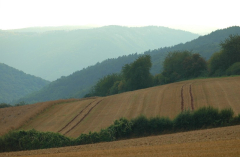 Juli 2007 - 2