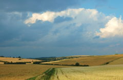 Juli 2007 - 4