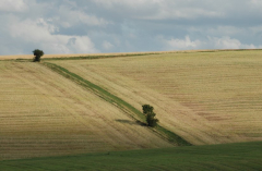Juli 27-07-2007 2