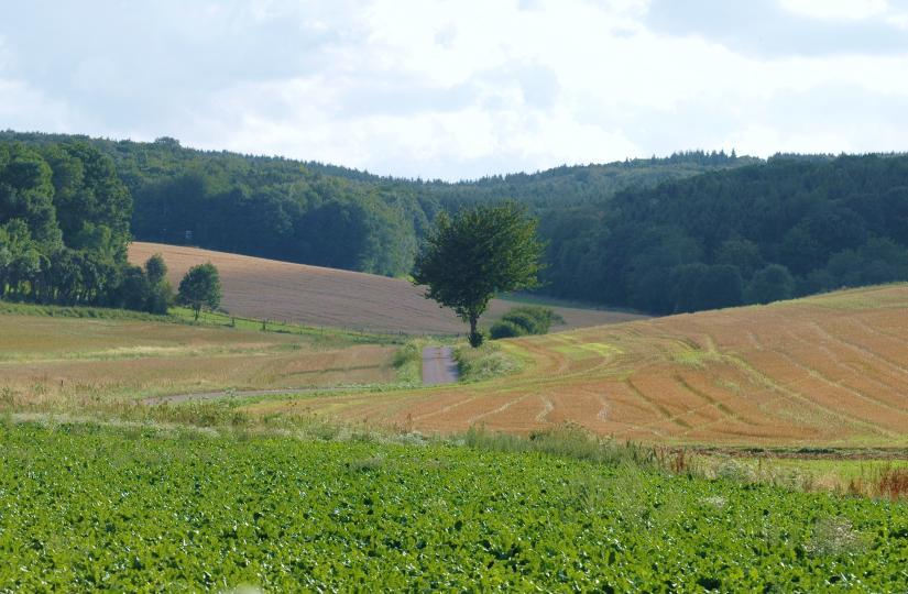 Juli 27-07-2007 5