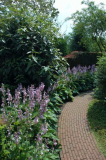 Lanting Hondsrug 24 22-07-2007
