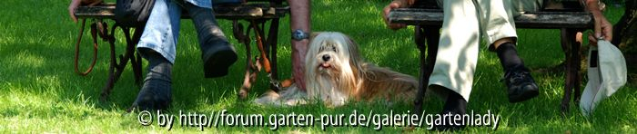Loge besetzt
