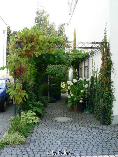 Pergola im August 2007