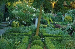 Gartenansichten August 1