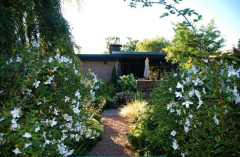 Gartenansichten August 2