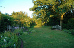 Gartenansichten August 3