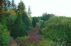 Gartenansichten August 5