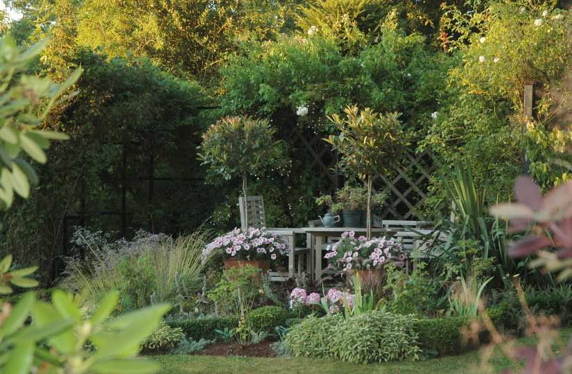 Gartenansichten August 6