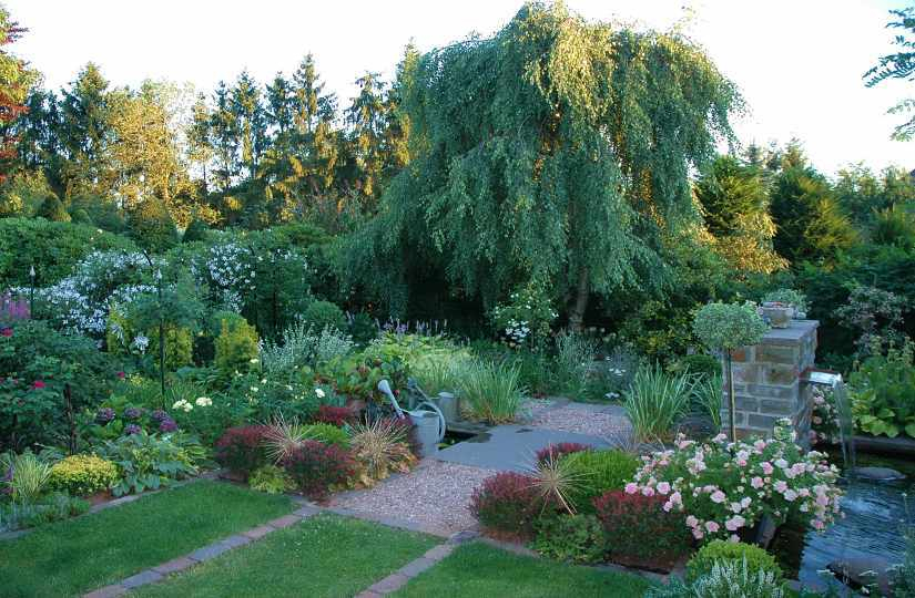 Gartenansichten August 8