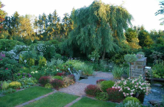Gartenansichten August 8