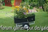C0695_Pflanzen zum Tausch.jpg