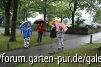 C0703_Schirmparade.jpg