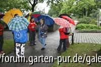 C0705_weitere Puristen treffen ein.jpg