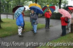 C0706_es füllt sich.jpg