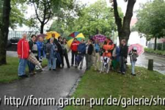 C0711_alle da.jpg