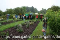 C0722_Rosensichtungsbeet.jpg