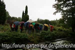 C0728_am Steingarten.jpg