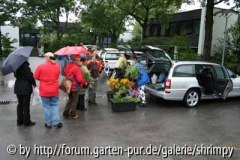 C0732_große Tauschaktion am Parkplatz.jp