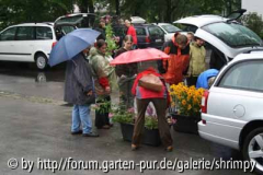 C0733_der Run auf die Pflanzen.jpg