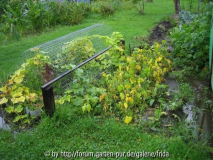 2007_zuviel_wasser.jpg