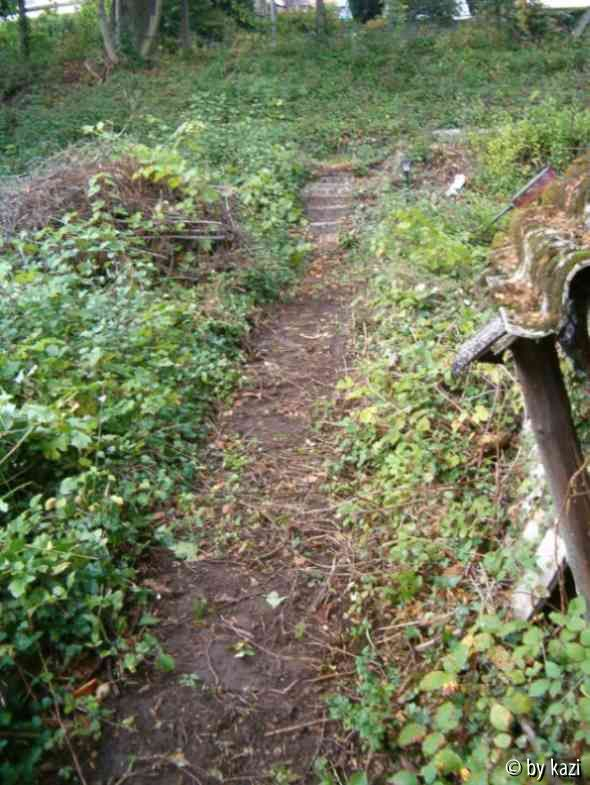 Weg