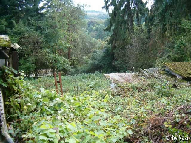 Wildnis
