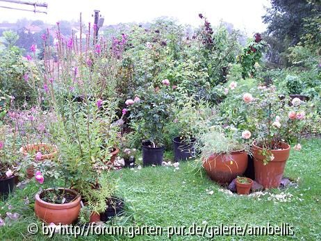 Topfgarten