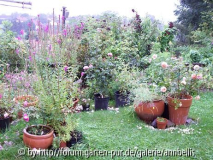 Topfgarten