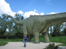 Seismosaurus in der 