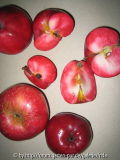 2007_apfel-rotfleischig.jpg