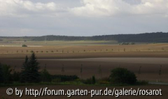 Braun sind schon die Felder