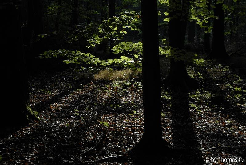 Frühherbst 07