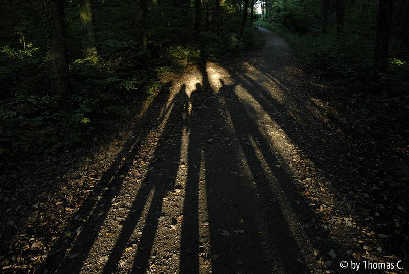 Frühherbst 11