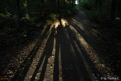 Frühherbst 11