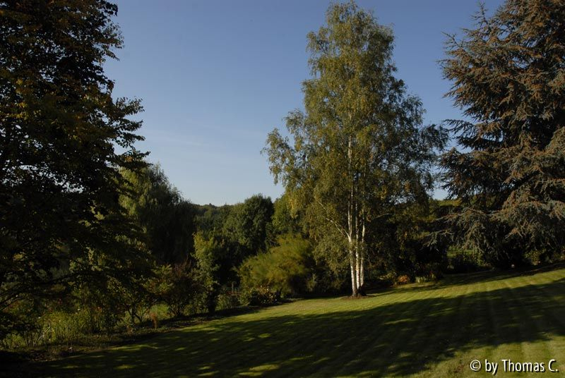 Frühherbst 24