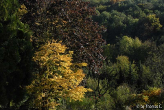 Frühherbst 30