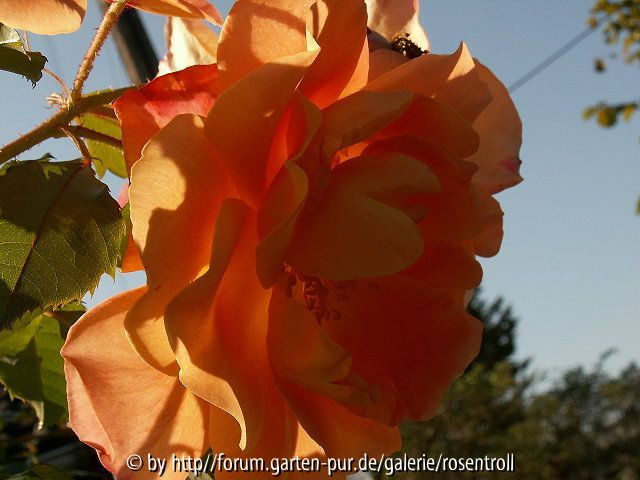 Westerland im Herbst