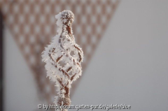 Winter - die Gartenarbeit ruht....