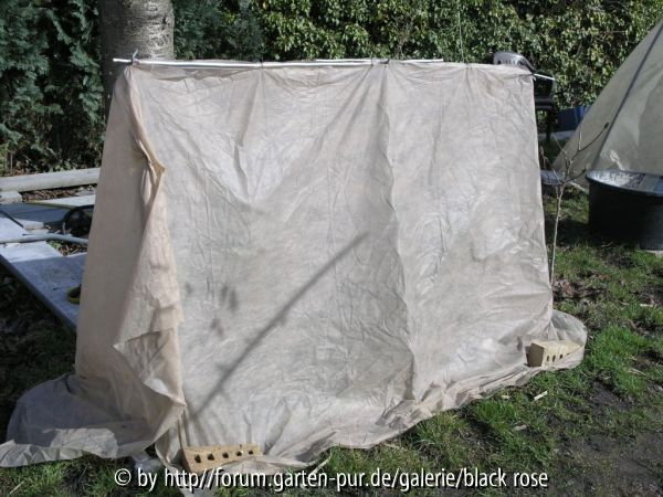 Winterschutz