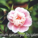 Name unbekannt
